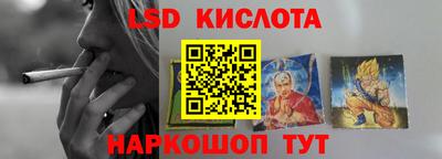 стаф Новодвинск