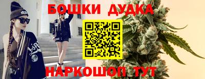 стаф Новодвинск