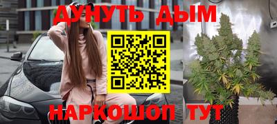 стаф Новодвинск