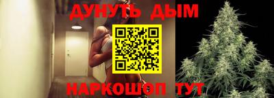 стаф Новодвинск